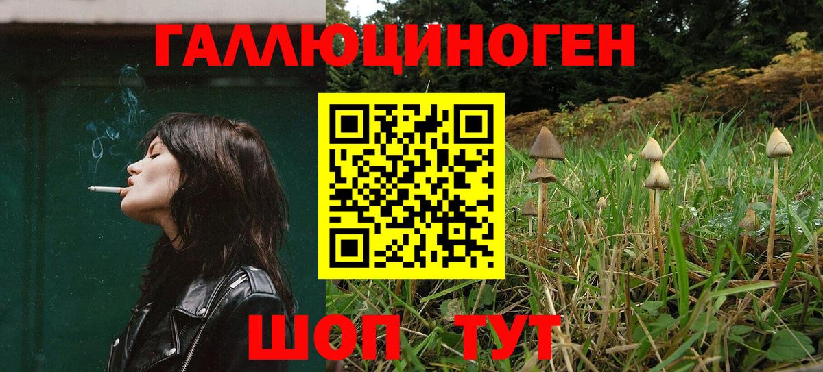 Псилоцибиновые грибы Psilocybe  где найти   Арзамас  Вход с VPN 